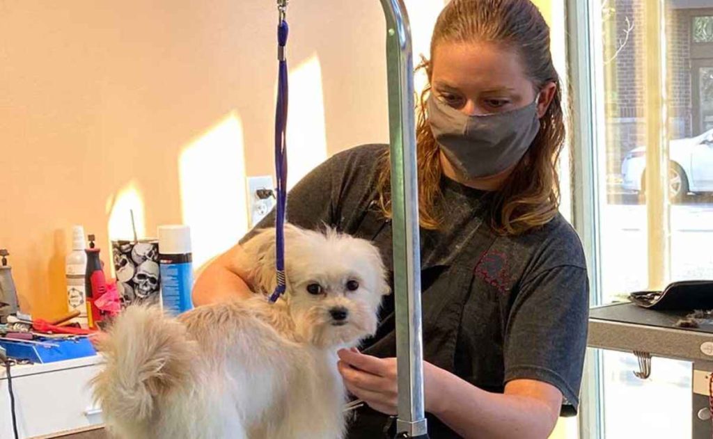 Dog Groomers Dinuba CA