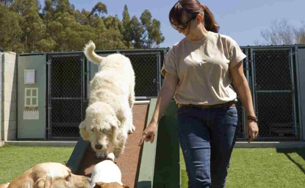 Dog Boarding in Monterey CA