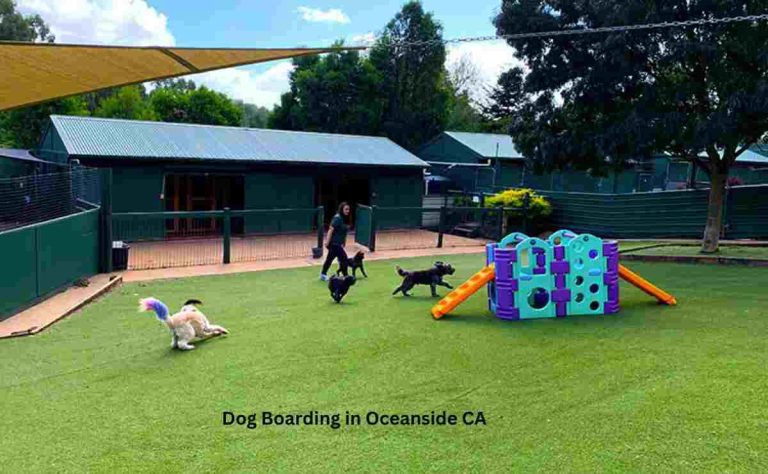 Dog Boarding in Oceanside CA