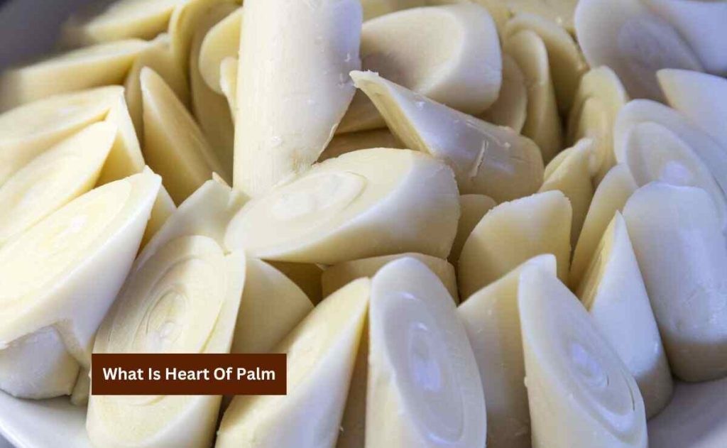What Is Heart Of Palm
