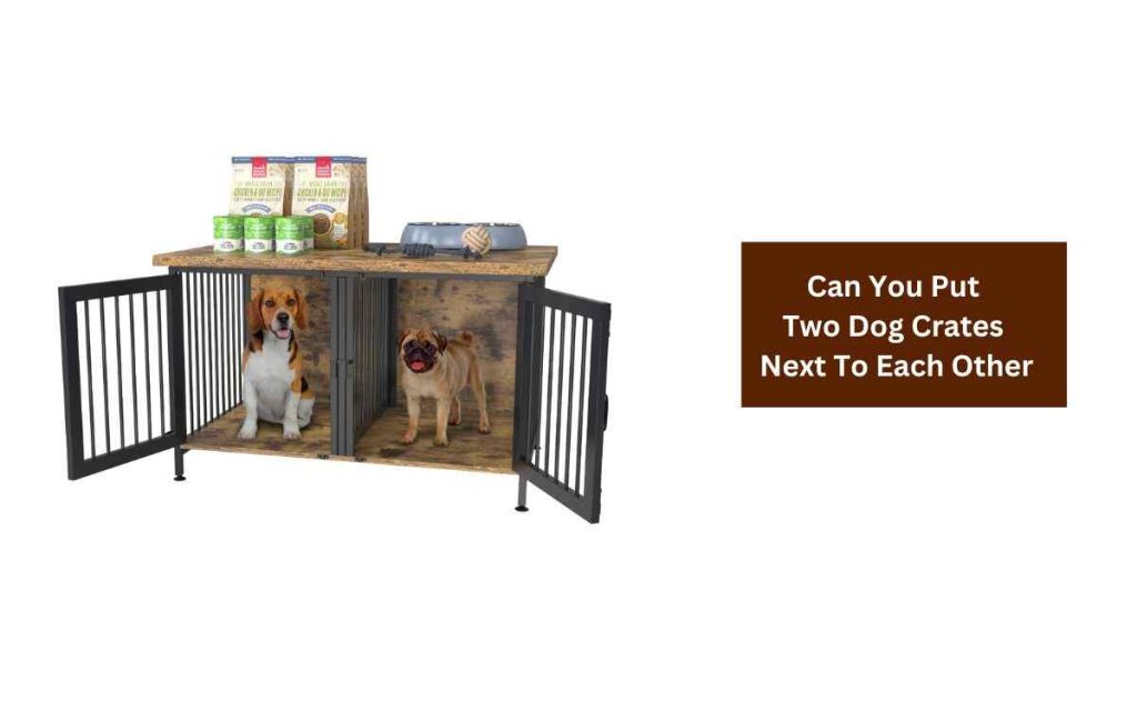 Can You Put Two Dog Crates Next To Each Other