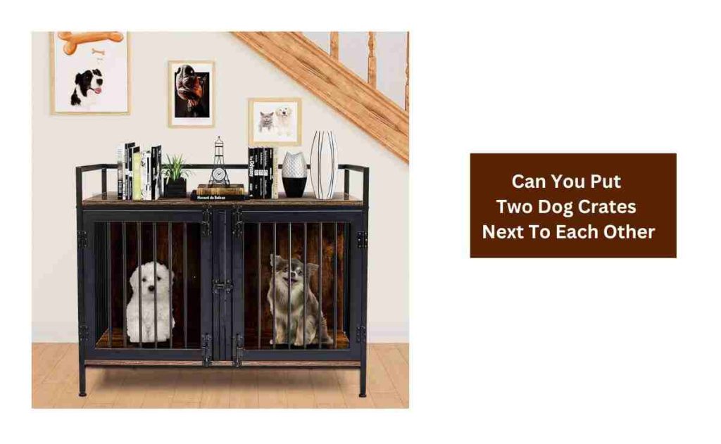 Photo inspiration: Picture Idea: Can You Put Two Dog Crates Next To Each Other