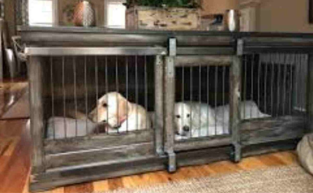 two dog crates together