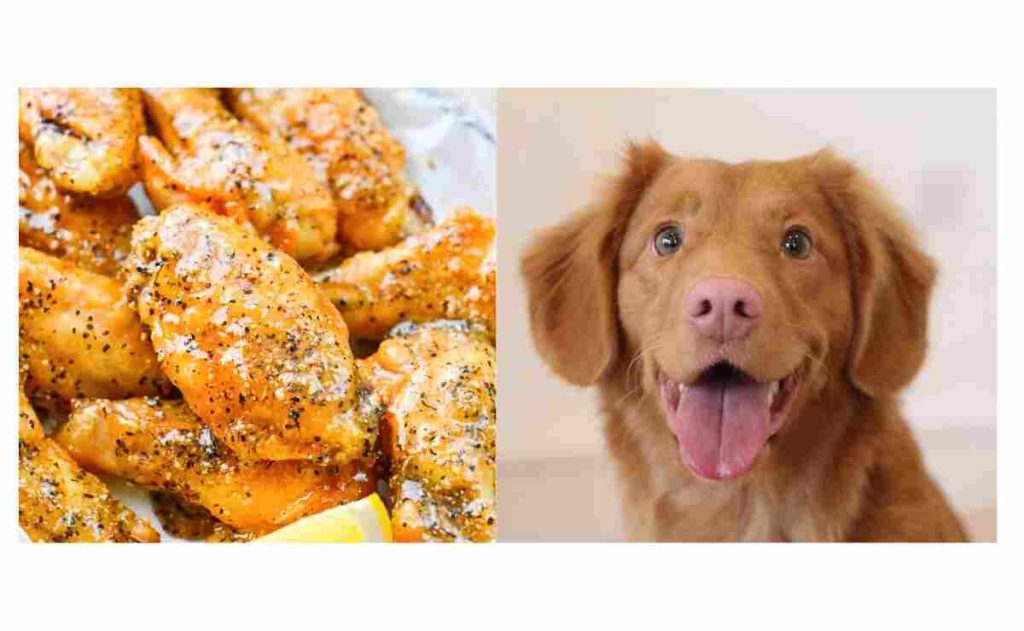 Can Dogs Eat Lemon Pepper Chicken