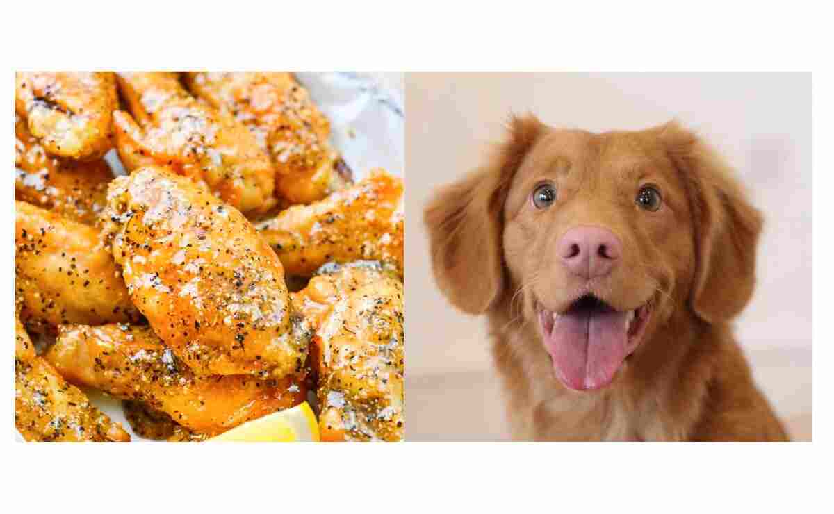 Can Dogs Eat Lemon Pepper Chicken? Consider The Safety Puppy Aware