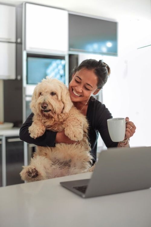 Online Dog Training Classes