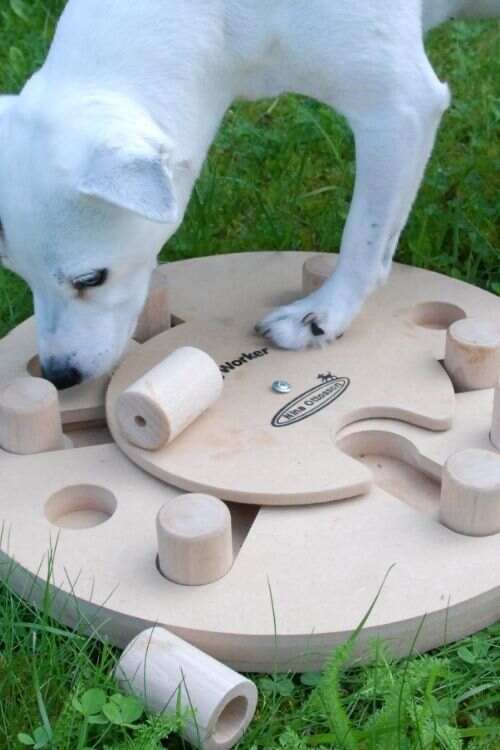 Toy Rotation Game for Dog