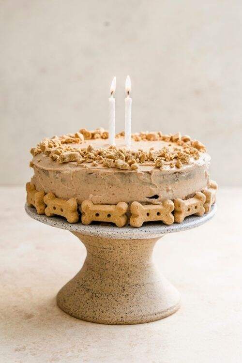 easy pumpkin dog cake