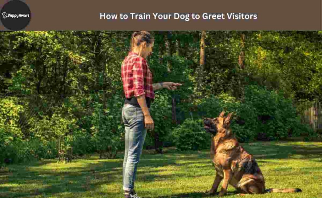 how to train your dog to greet visitors