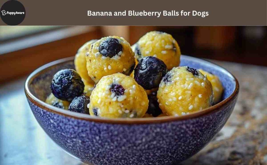 Banana and Blueberry Balls for Dogs