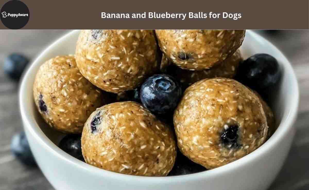 Banana and Blueberry Balls for Dogs