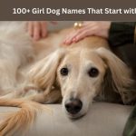 Girl Dog Names That Start with M