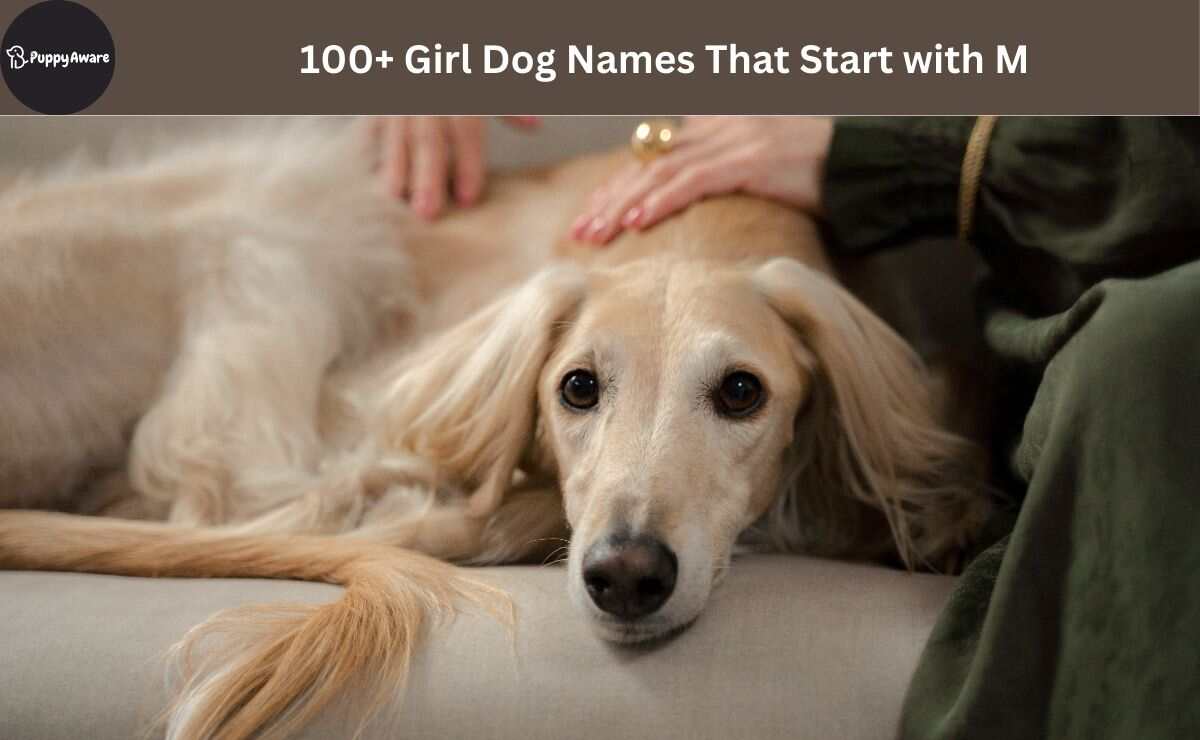 Girl Dog Names That Start with M