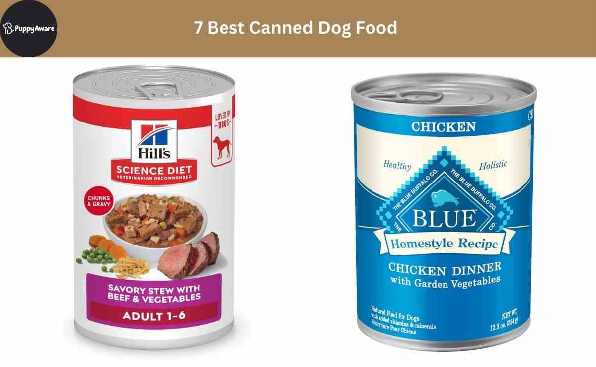 7 Best Canned Dog Food - Useful Guide for Pet Parents | Puppy Aware