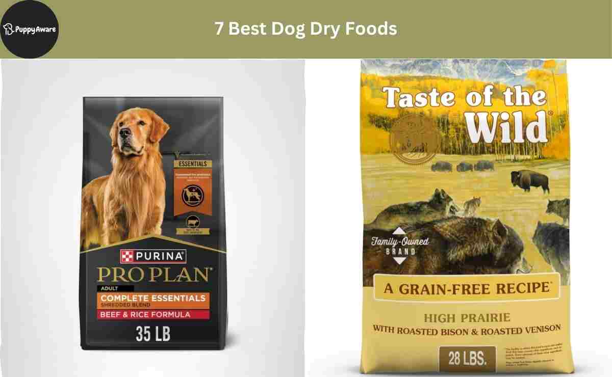 about nulo dog food Nulo Freestyle Jerky Strips Dog Treats, Chicken with Apples / 5 oz
