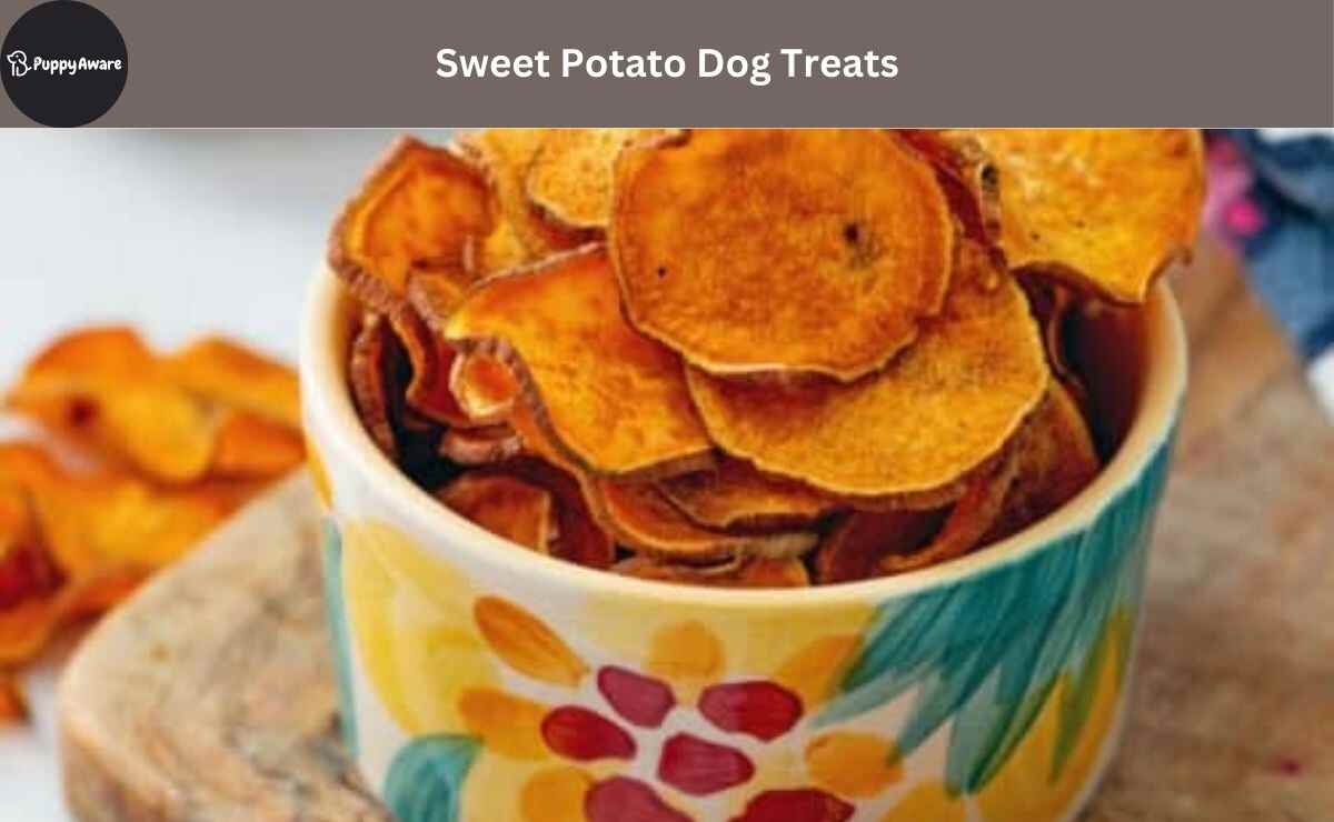 Sweet Potato Dog Treats