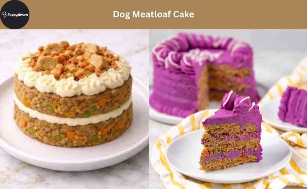Dog Meatloaf Cake