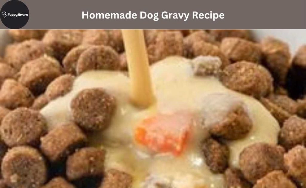 Homemade Dog Gravy